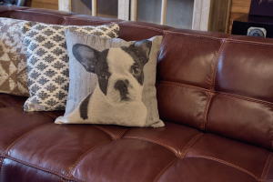 クッション インテリア アニマル