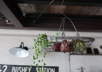 お洒落 ディスプレイ インテリア